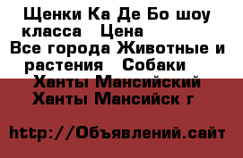 Щенки Ка Де Бо шоу класса › Цена ­ 60 000 - Все города Животные и растения » Собаки   . Ханты-Мансийский,Ханты-Мансийск г.